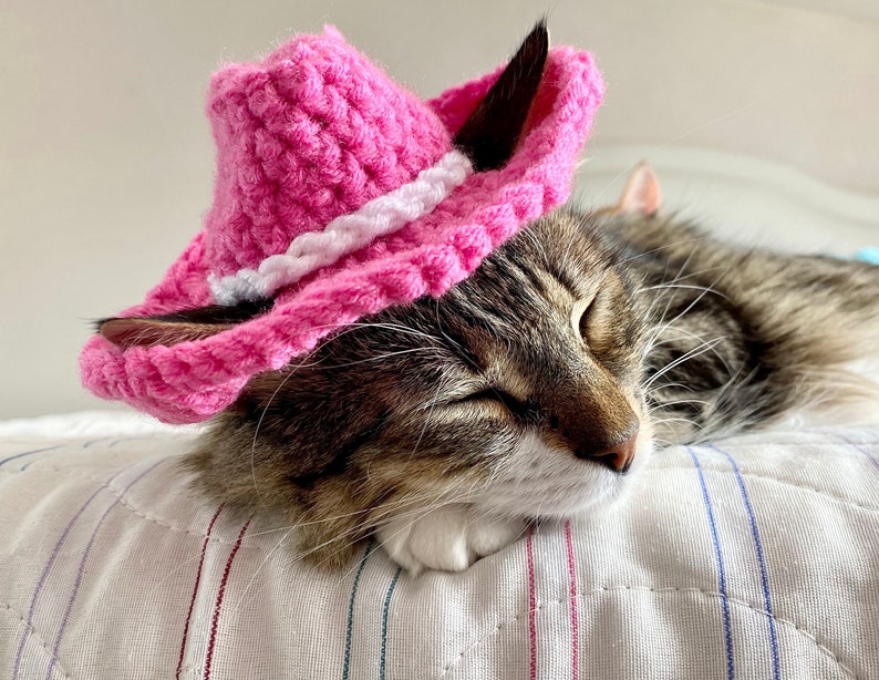 Pink Cowboy Hat for Cats, Cowgirl Cat Hat, Cute Halloween Costume for Cats, Small Cowboy hat for Pets, Feline Texas Country Western Cat Hat image 1