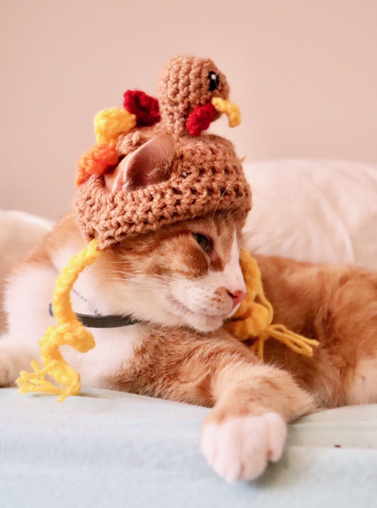 Thanksgiving Turkey Hat for Cats Funny Turkey Cat Hat with Etsy