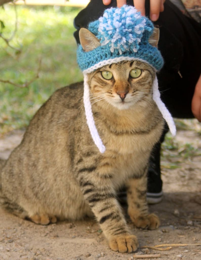 Crochet Cat Hat Pattern, Beginner Friendly Crochet Pattern for Cats, Cat Beanie Crochet Pattern, Downloadable Pattern Crochet Cat Accessory image 8