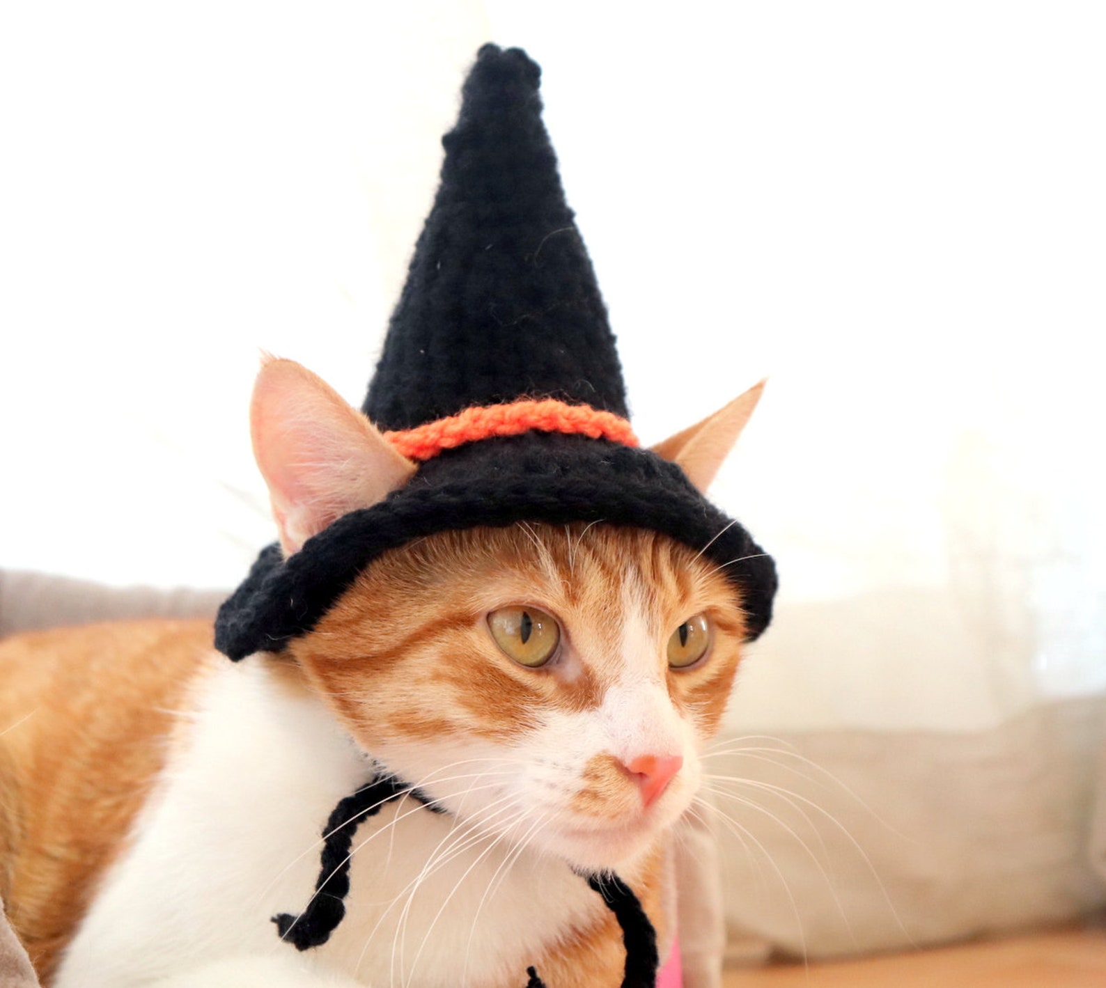 Crochet Pattern Witch Hat for Cats PDF Instructions for Cat Etsy