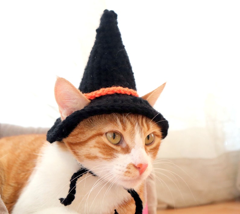 Crochet Pattern: Witch hat for cats, PDF instructions for cat witch hat costume with chin straps / ear holes, crochet halloween idea of cats image 4