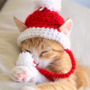 Santa Cat Hat Crochet Pattern, Fun and Festive Christmas Crochet Pattern for Cats and Kittens, Quick and Beginner Friendly image 5