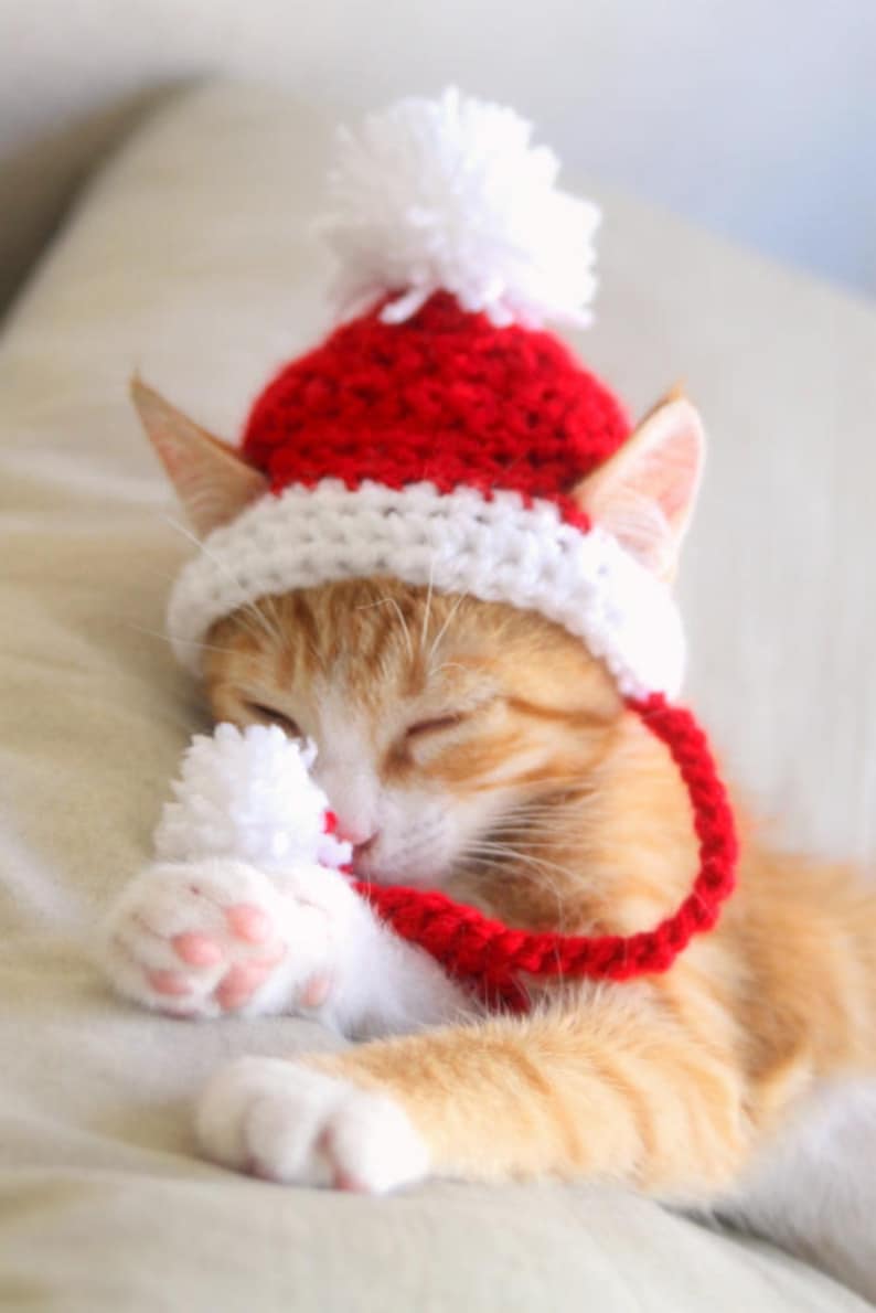 Santa Cat Hat Crochet Pattern, Fun and Festive Christmas Crochet Pattern for Cats and Kittens, Quick and Beginner Friendly image 5