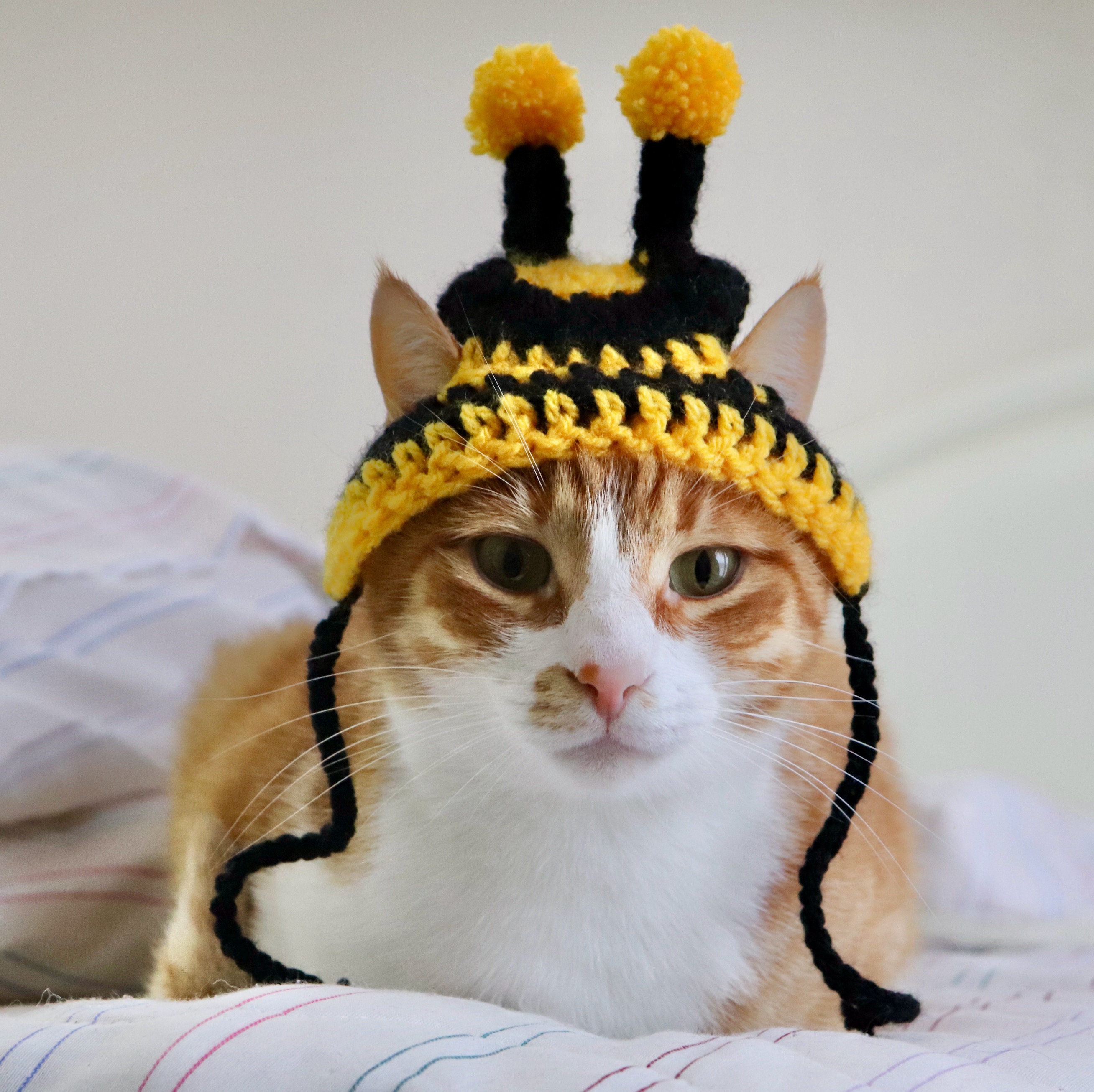 バンブルビー猫用帽子のかぎ針編みパターン、猫/XS犬用かぎ針編みの蜂