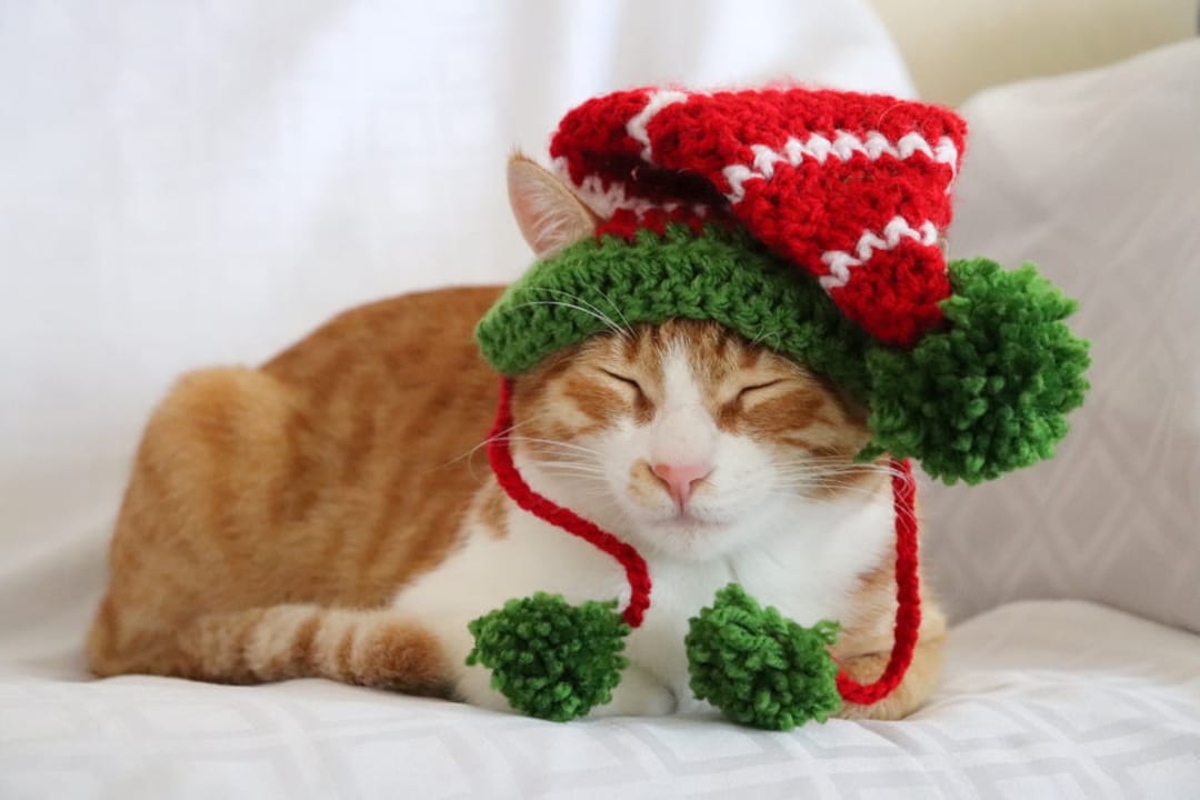 Elf Hat for Cats, Cat Elf Hat, Holiday Cat Hat, Christmas Hat for Cats