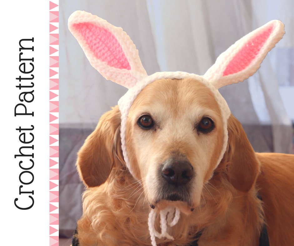 large dog easter costume