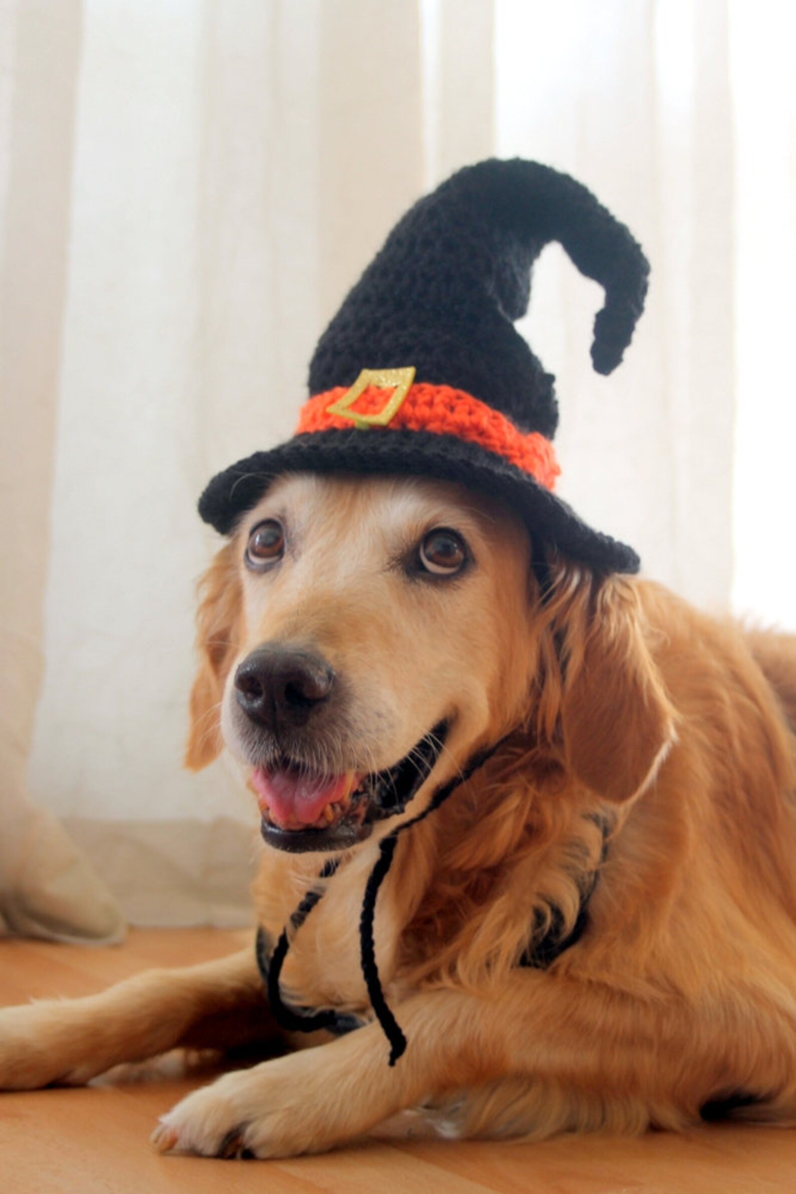 Crochet Pattern Witch Hat for Large Dogs Crochet Witch Pet Etsy