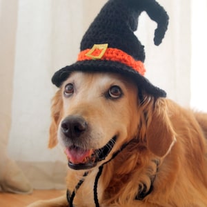 Crochet Pattern: Witch Hat for Large Dogs, Crochet Witch Pet Costume Hat, Witch Dog Hat PDF Pattern for Digital Download image 4