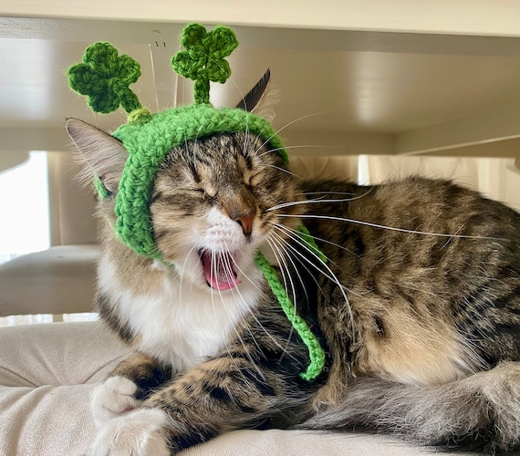 Shamrock Headband for Cats, St. Patrick's Day Cat Accessories, Cat