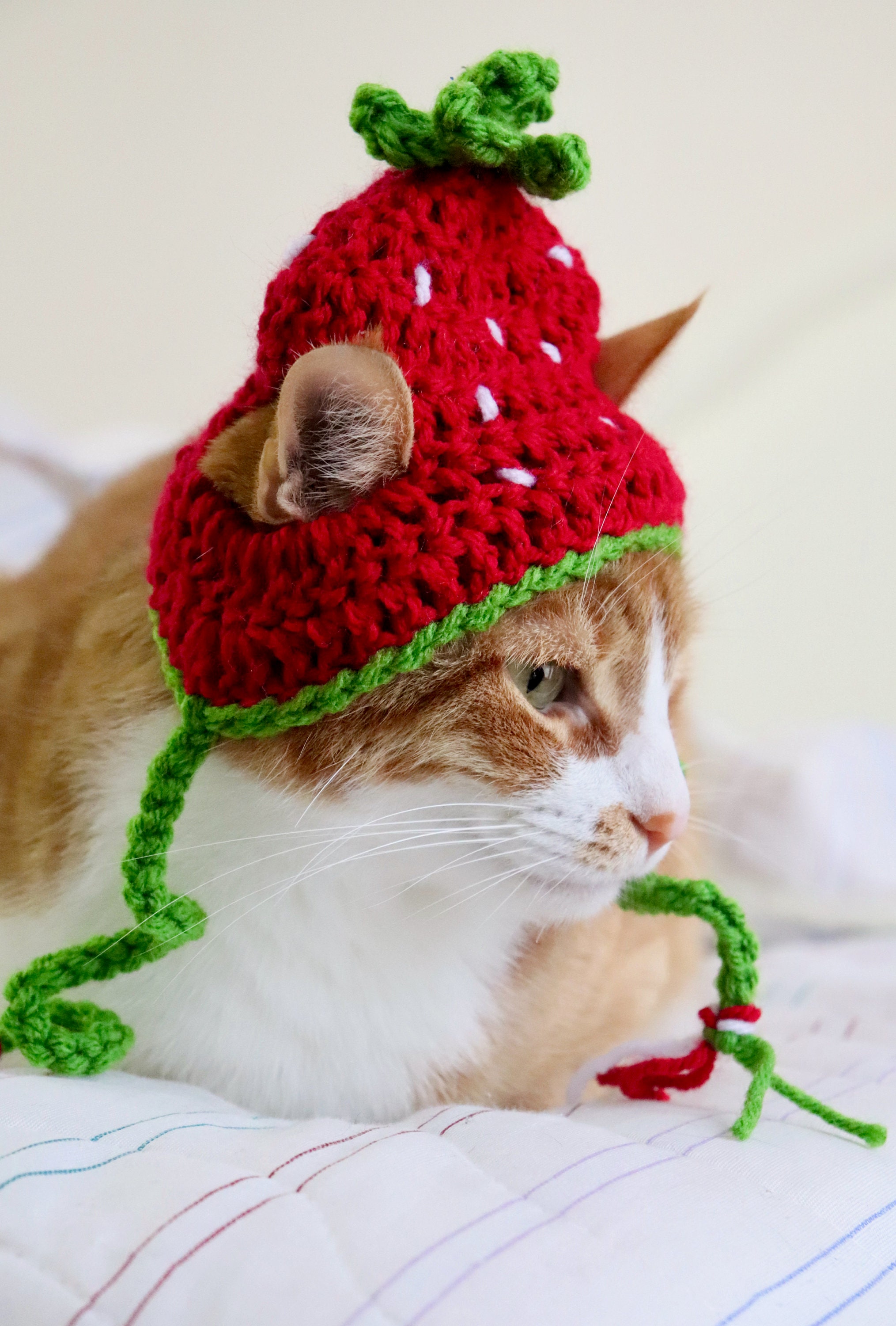 Strawberry Hat for Cats Crochet Strawberry Hat for Cats and Etsy