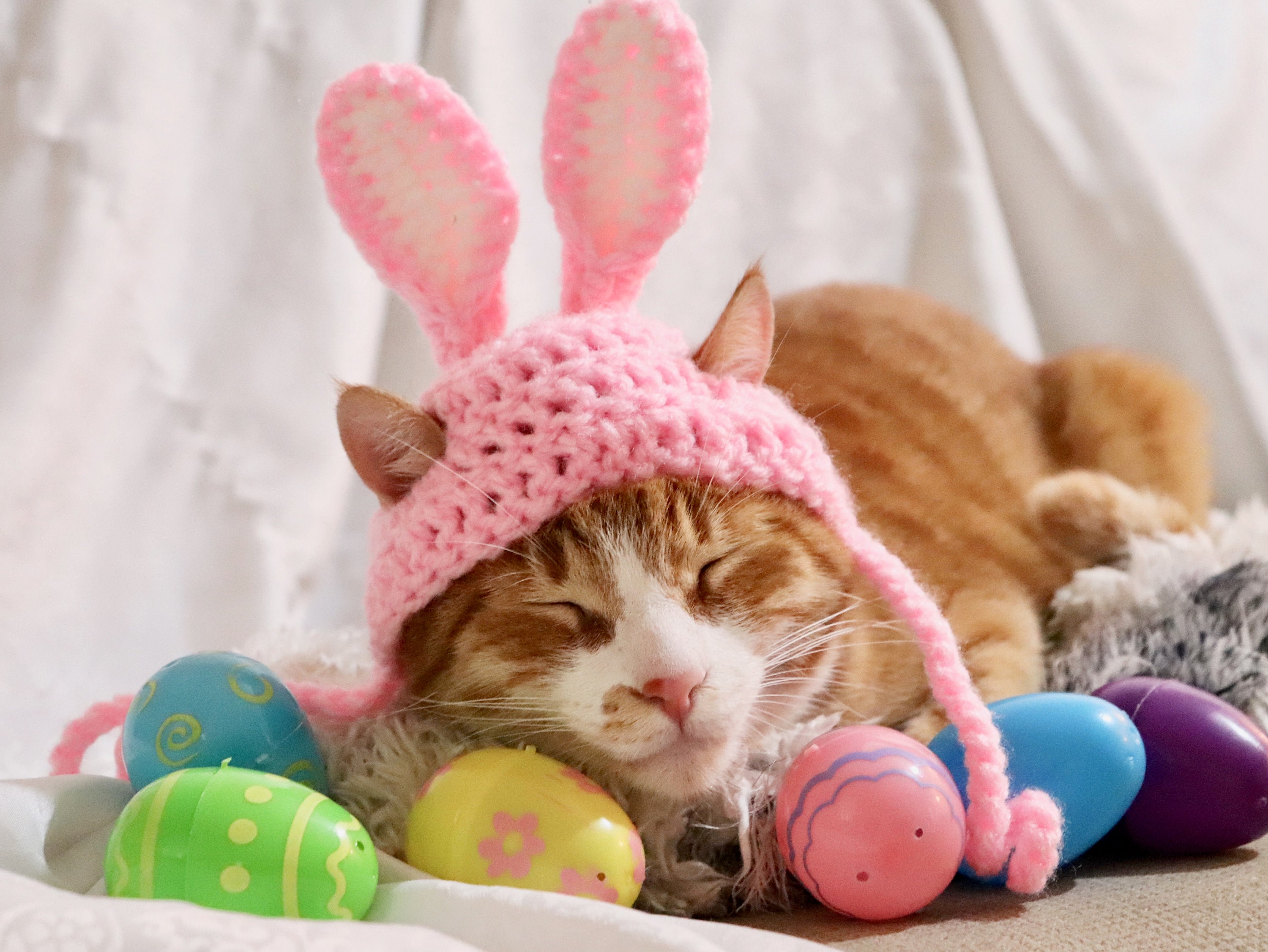 Pink Easter Bunny Ears for Cats Easter Rabbit Costume Hat for Etsy