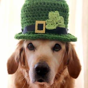 St. Patrick's Day Dog Hat, Leprechaun Hat for Dogs, Leprechaun Dog Costume, St. Patrick's Day Dog Costume, Bearded Dog Hat, image 4