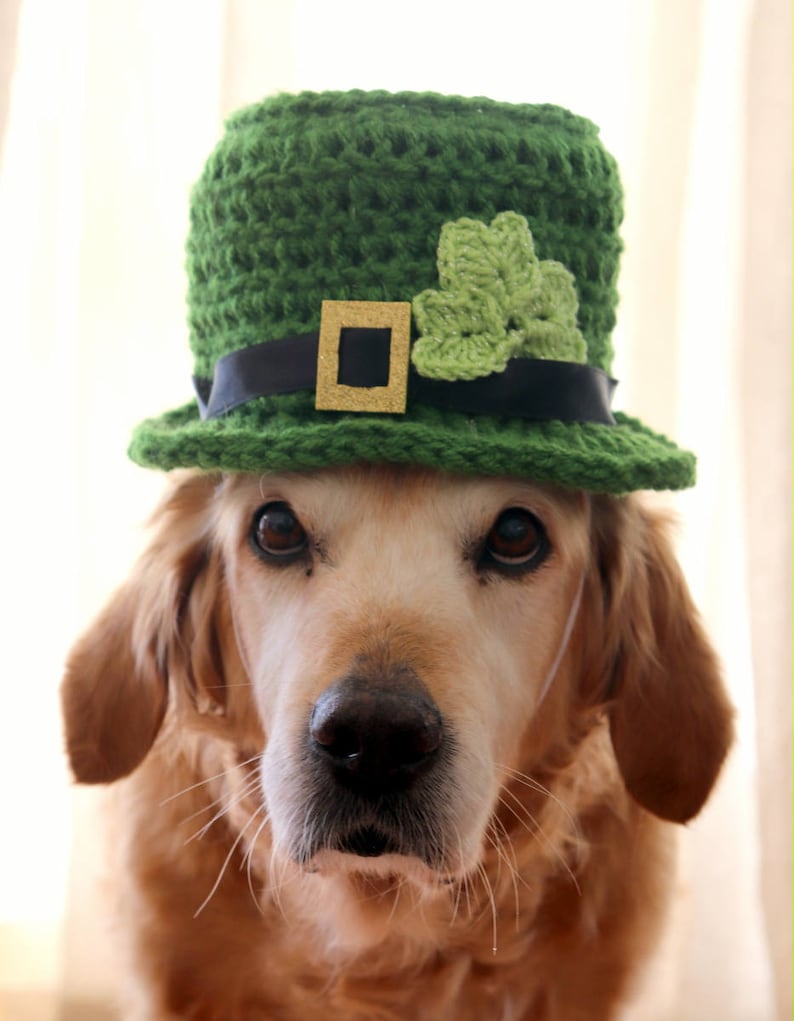 St. Patrick's Day Dog Hat, Leprechaun Hat for Dogs, Leprechaun Dog Costume, St. Patrick's Day Dog Costume, Bearded Dog Hat, image 4