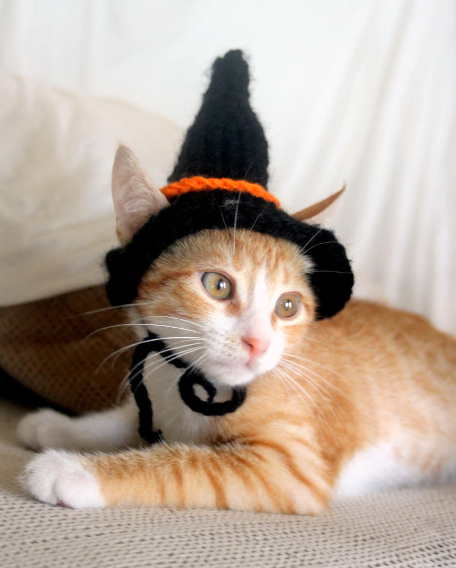 Cat Witch Costume
 Witch Cat Hat Witch Hat for Cats Halloween Cat Costume
