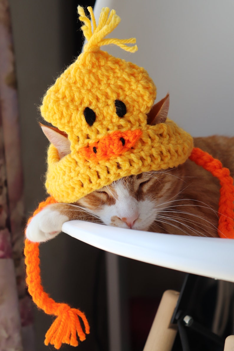 Duck Hat for Cats, Cute Yellow Ducky Cat Hat with Ear Holes, Easy Cat Halloween Costume Ideas, Funny Gift for Cat Lover, Crochet Pet Hats image 8