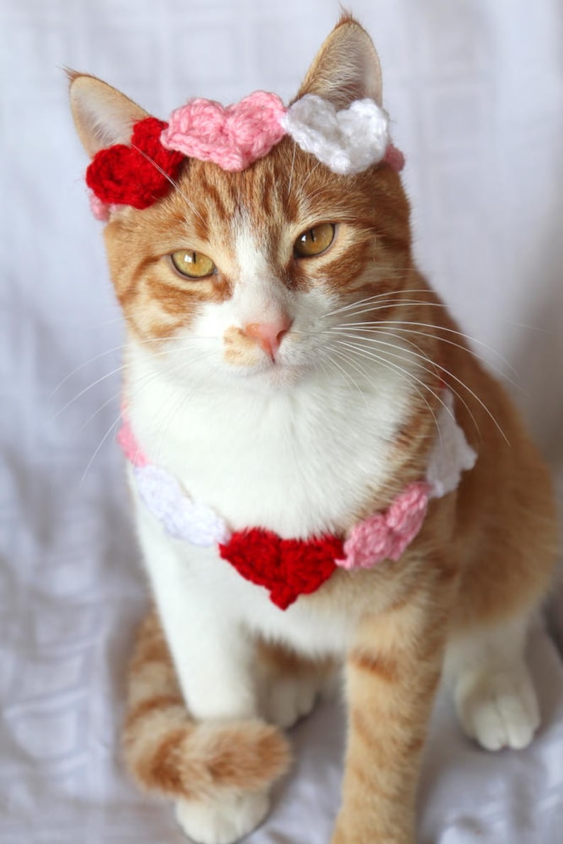 Heart Headband for Cats, Valentine's Day Cat Accessories, Cat Photo Prop for Valentines Day, Cute Cat Accessories, Cat Valentines Apparel immagine 5