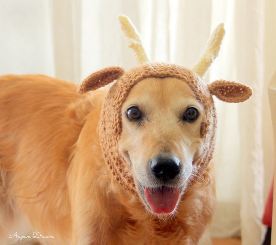 Antler ears on sale for dogs