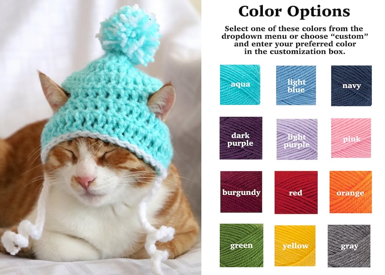 dog and cat accessories