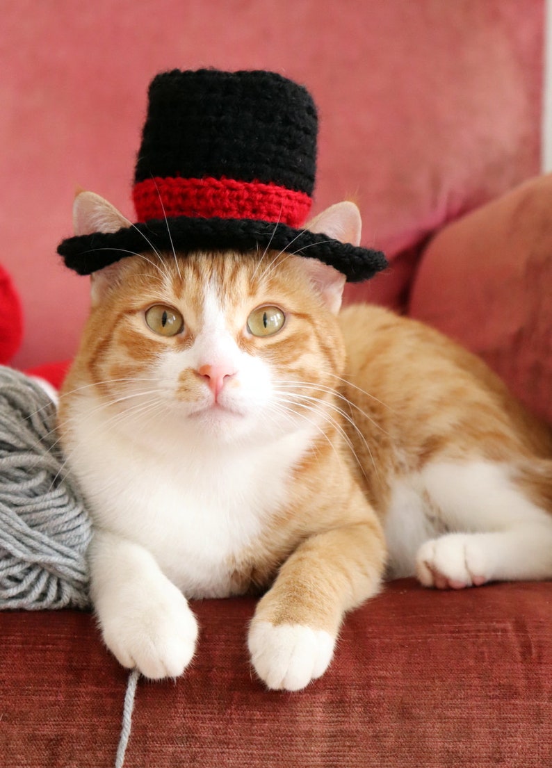 Crochet Pattern: Top Hat for Cats, Crochet Top Hat Pattern with Ear Holes for Cats / XS Dog Breeds, New Years Crochet Pattern for Pets image 4