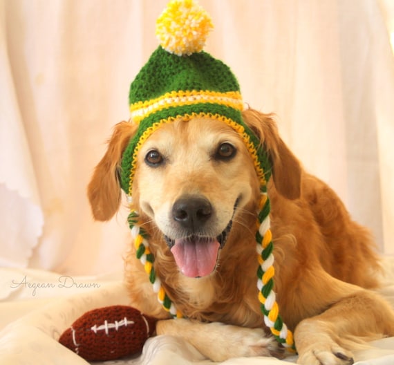 Sports Team Dog Hat Custom Dog Hat in 