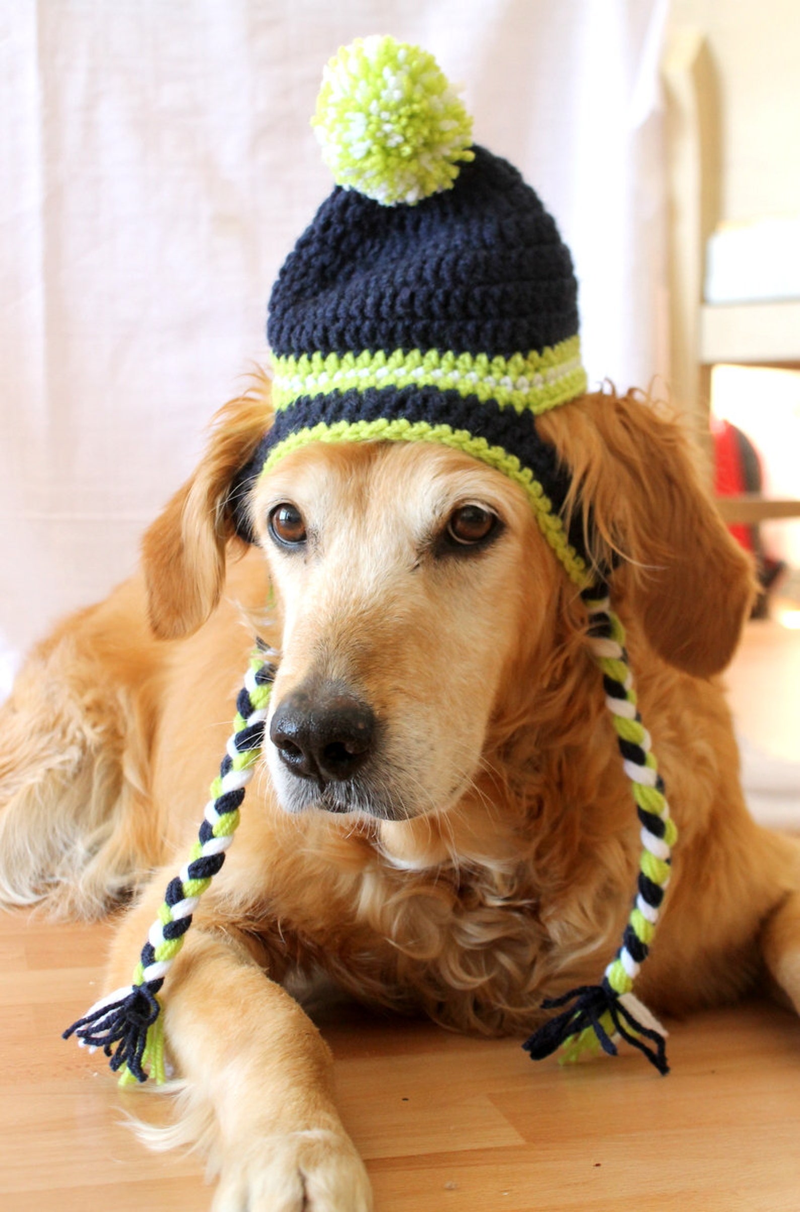Crochet Dog Hat Pattern Crochet Beanie Hat Pattern for Large Etsy UK