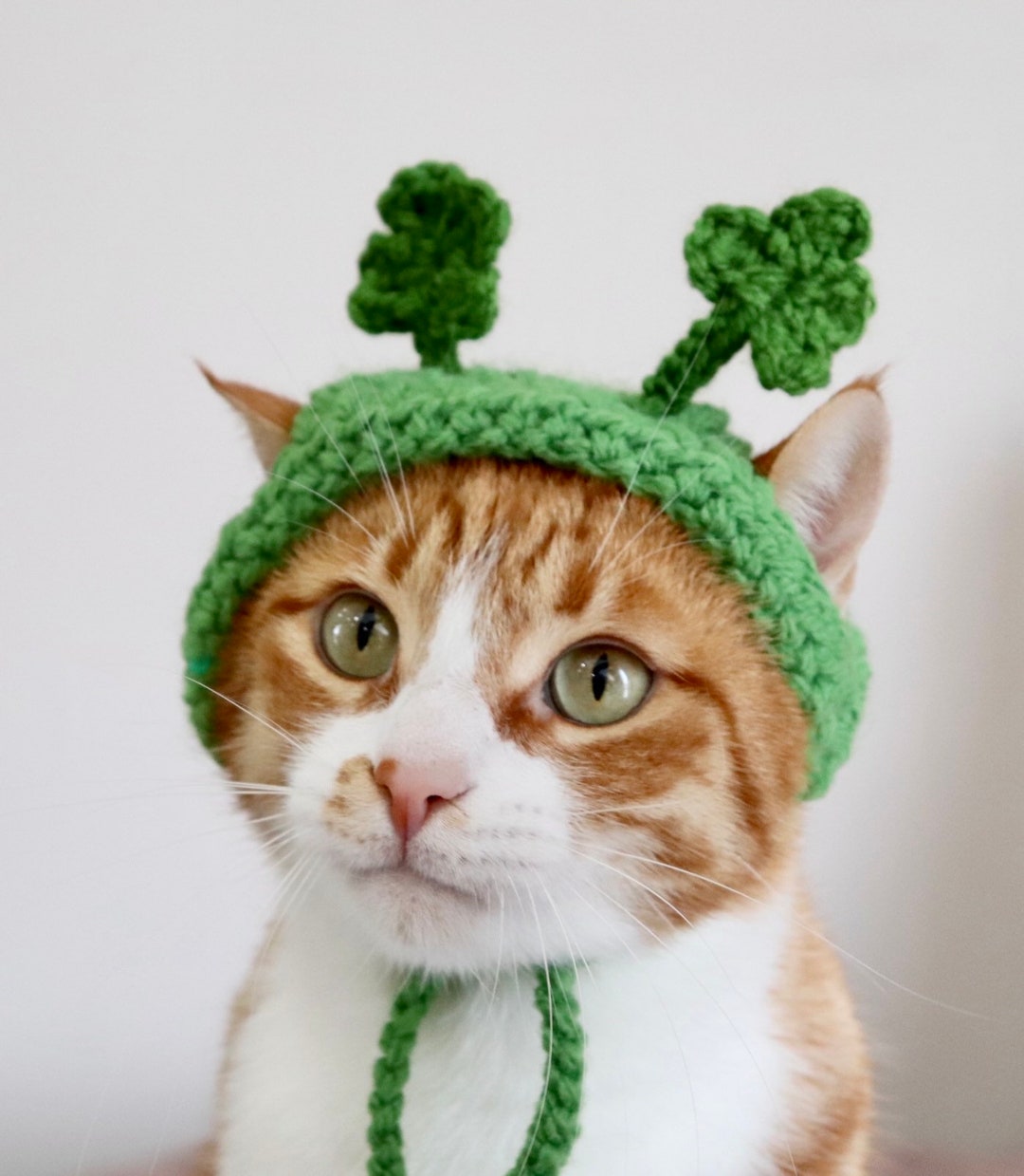 Shamrock ★ Cat  il_1080xN.3747428365_r6hk.jpg