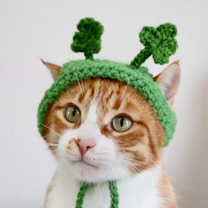 Shamrock Headband for Cats, St. Patrick's Day Cat Accessories, Cat Photo Prop for St. Paddy's Day, Cute Cat Accessories, Cat Clover Apparel