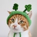 see more listings in the Cats / Small Dogs section