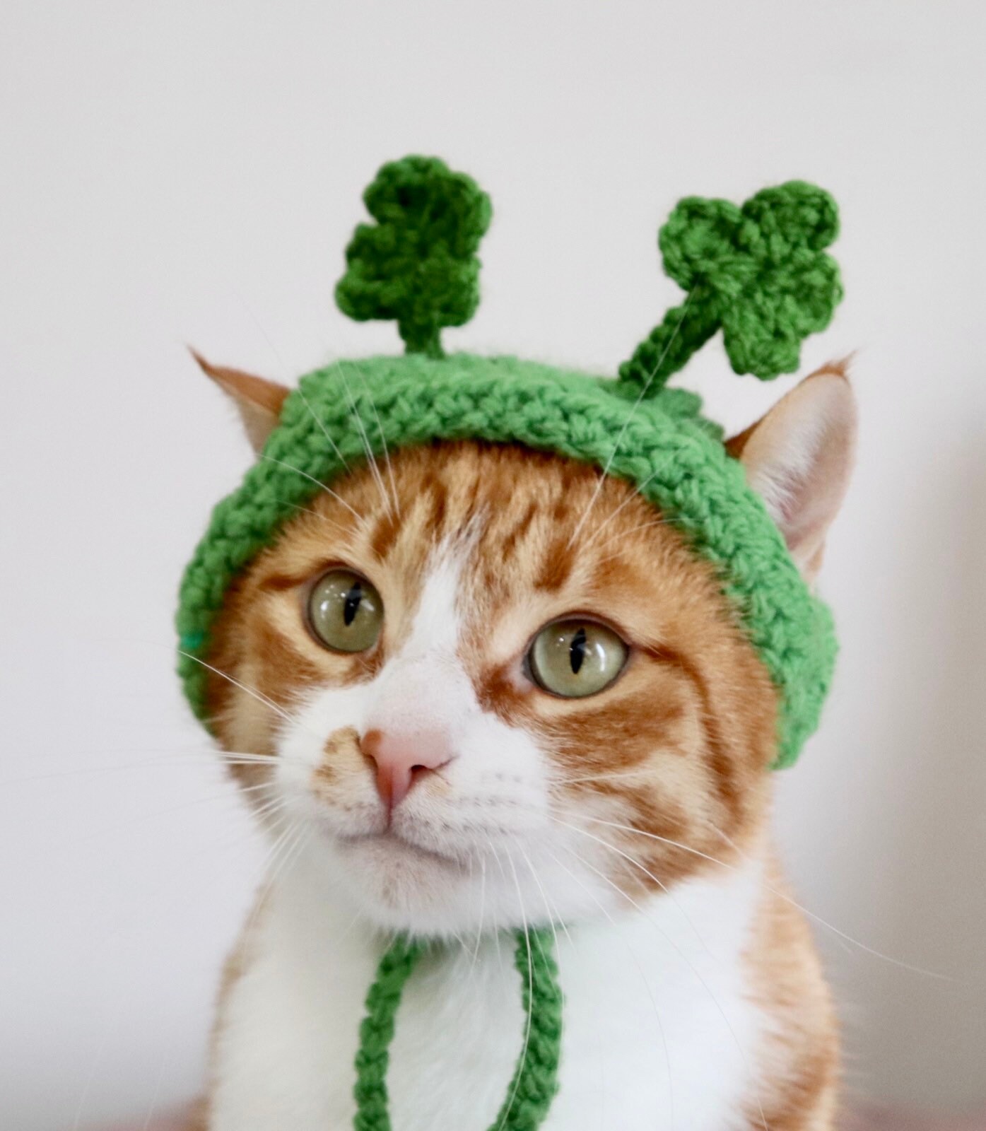Shamrock Headband for Cats, St. Patrick's Day Cat Accessories, Cat