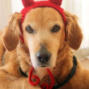 Devil Dog Costume, Devil Horns for Large Breed Dogs, Red Devil Dog Hat, Devil Halloween Dog Costume, Cute Dog Costume, Funny Dog Costume image 4