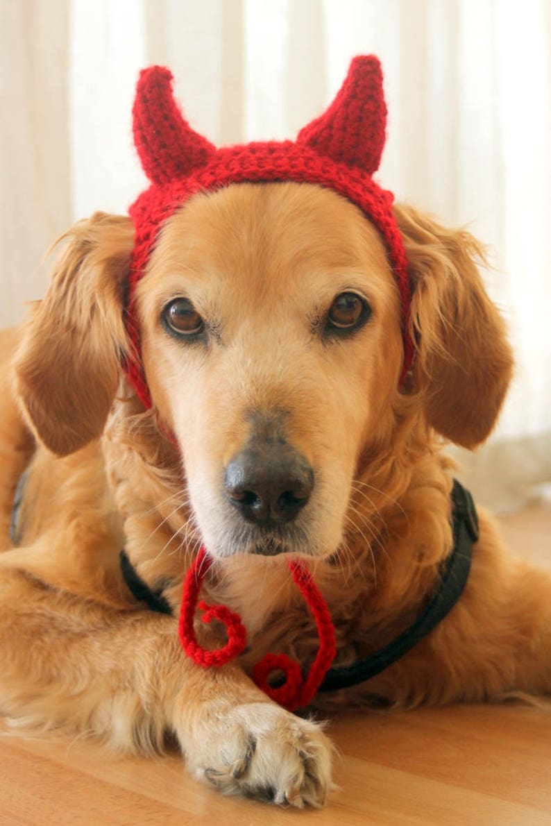 Devil Dog Costume, Devil Horns for Large Breed Dogs, Red Devil Dog Hat, Devil Halloween Dog Costume, Cute Dog Costume, Funny Dog Costume image 4