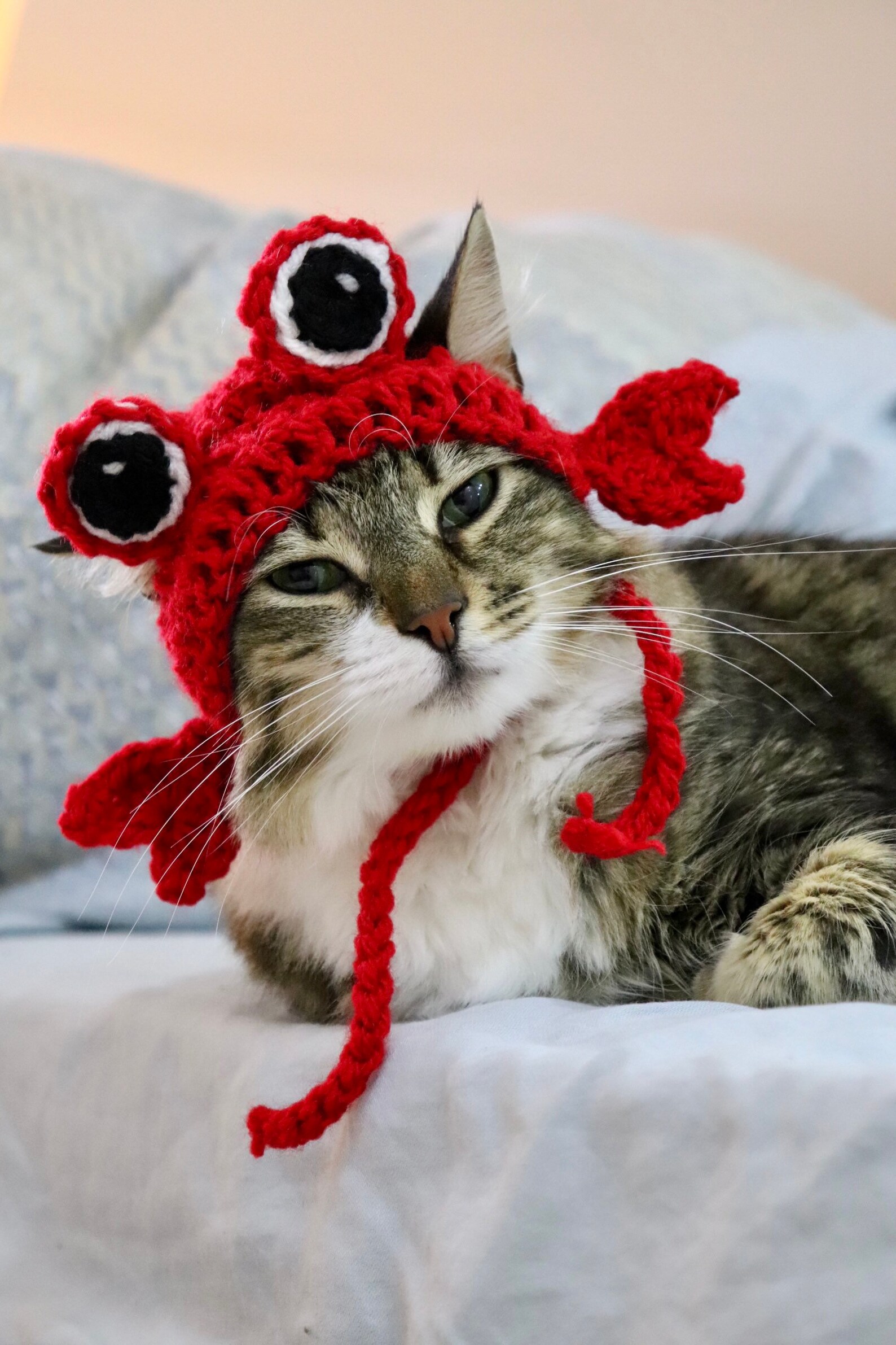 Crab Hat for Cats Funny Feline Crab Accessory / Costume Crab - Etsy