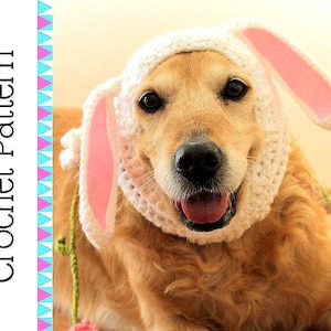 Crochet Pattern: bunny dog snood, PDF instructions for crochet dog snood with rabbit ears, crochet accessory / costume for large dogs