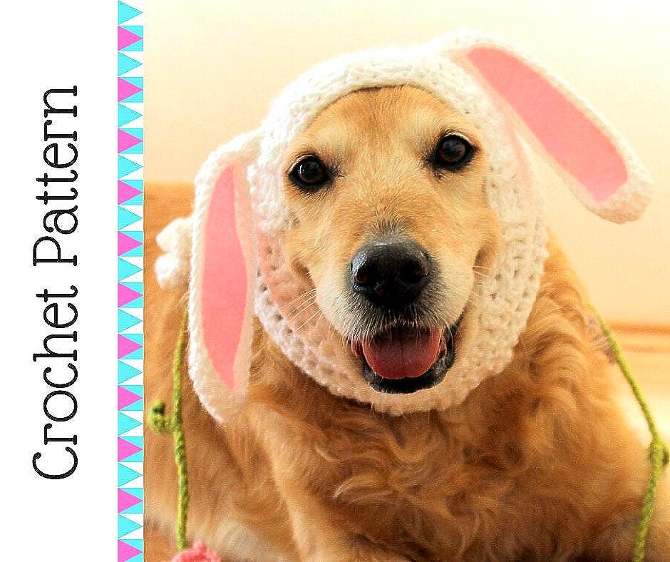 30 Dog Snood Crochet Patterns for Cozy, Cute, and Practical Pet Wear 25 Bunny Dog Snood Crochet Pattern
