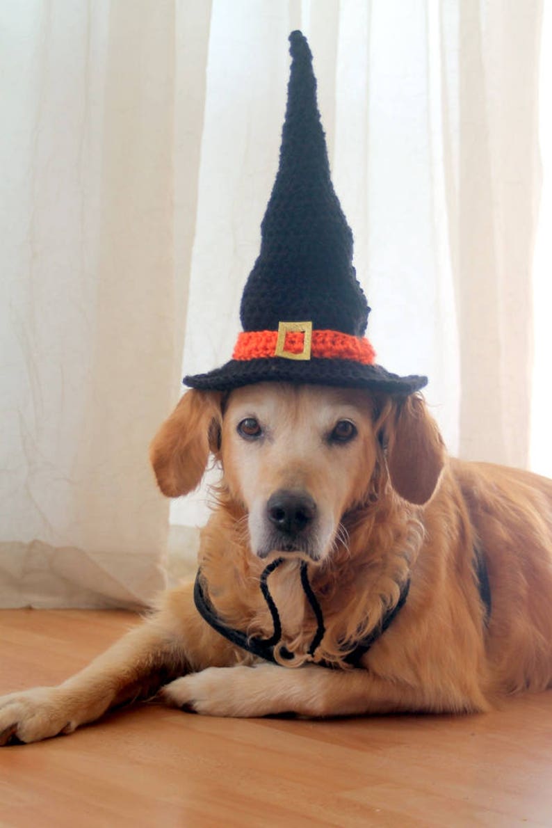 Witch Hat for Dogs, Dog Witch Hat, Halloween Hat for Dogs, Large Breed Dog Costume, Halloween Dog Hat, Witch Dog Hat image 3