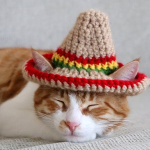 Cat Sombrero Crochet Pattern, Crochet Instructions for Pet Size Sombrero Hat with Ear Holes, Cinco De Mayo Crochet Pattern for Pets image 7