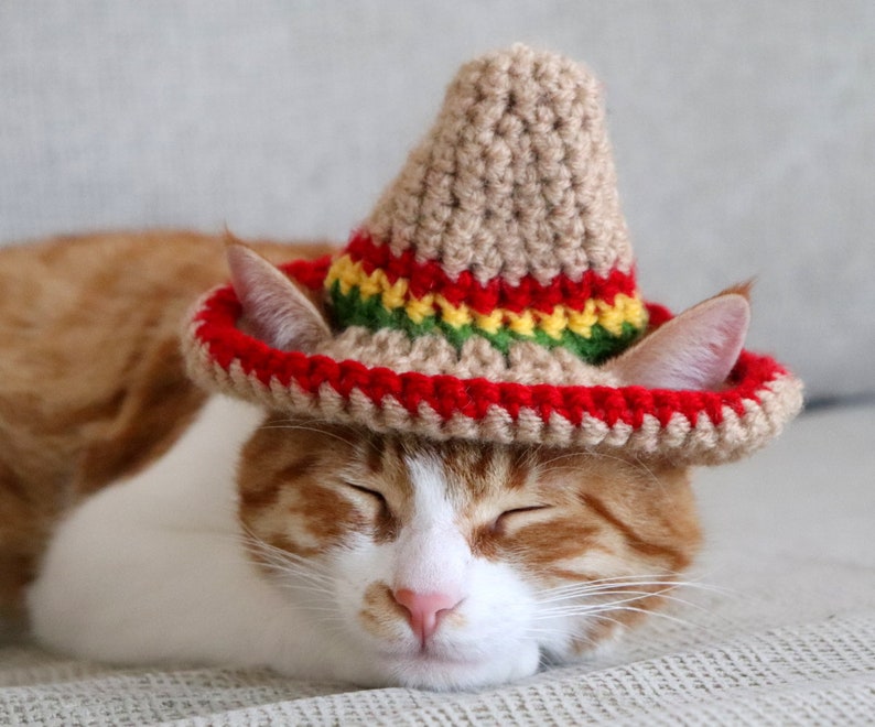 Katze Sombrero Häkelanleitung, Häkelanleitung für Haustier Größe Sombrero Hut mit Ohrlöchern, Cinco De Mayo Häkelanleitung für Haustiere Bild 7