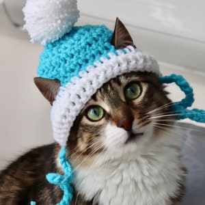 Hut für Katzen, 2 Farbe häkeln Pom Pom Hut für Katzen und Hunde kleiner Rassen, Feline Accessoires für den Winter, süße Katze Foto Requisite Bild 7