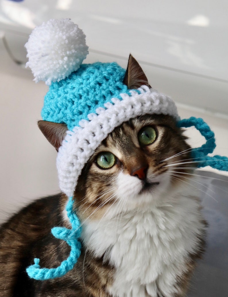 Hut für Katzen, 2 Farbe häkeln Pom Pom Hut für Katzen und Hunde kleiner Rassen, Feline Accessoires für den Winter, süße Katze Foto Requisite Bild 7