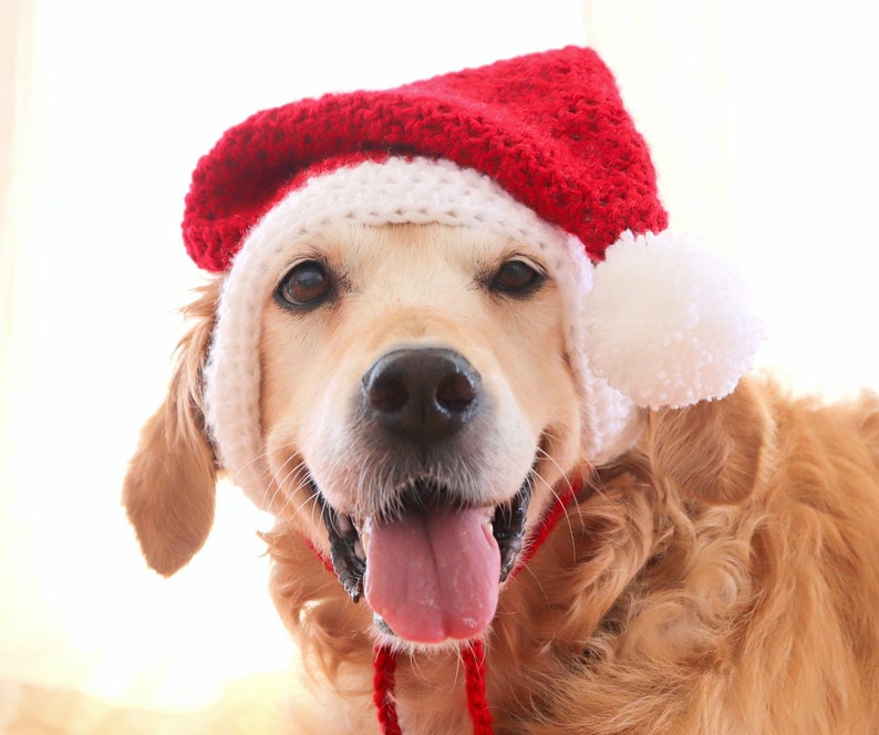 Santa dog hat with ear holes, Santa hat for large dogs Golden, Lab, Pitbull, Husky, Boxer, Christmas dog accessory image 7