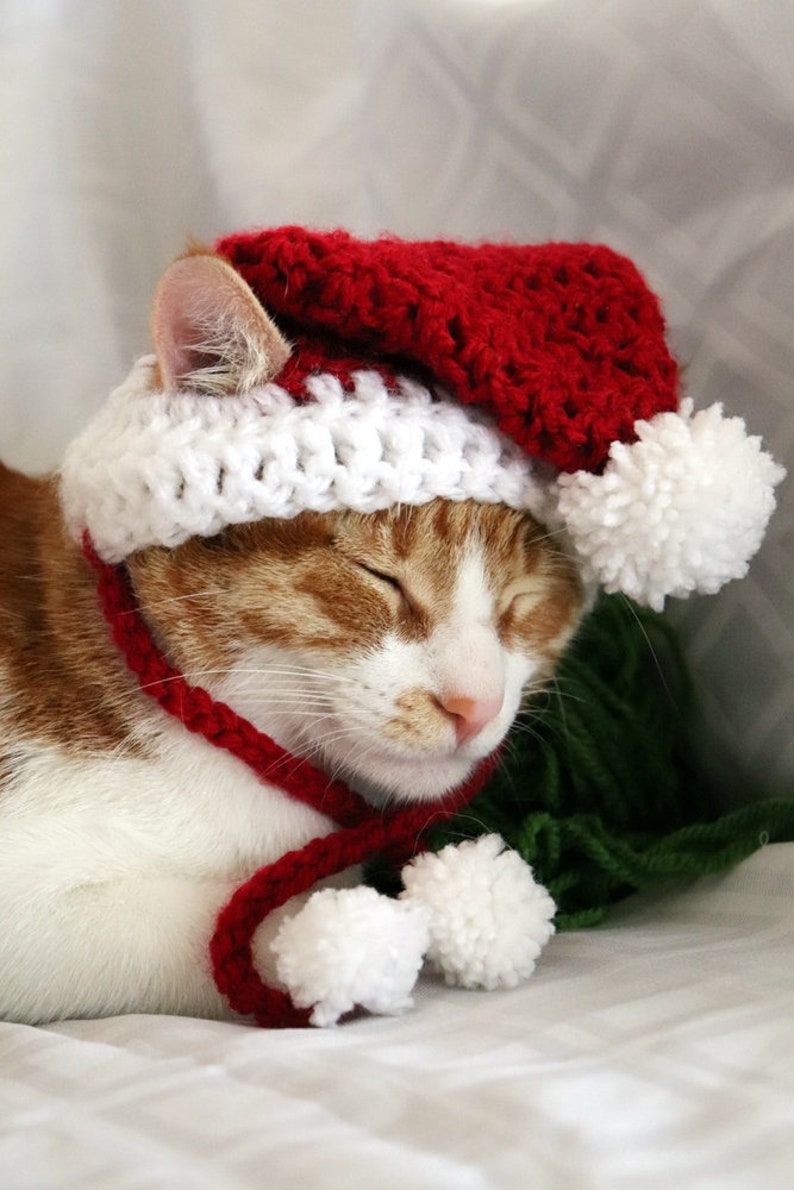 Santa Cat Hat Crochet Pattern, Fun and Festive Christmas Crochet Pattern for Cats and Kittens, Quick and Beginner Friendly image 4