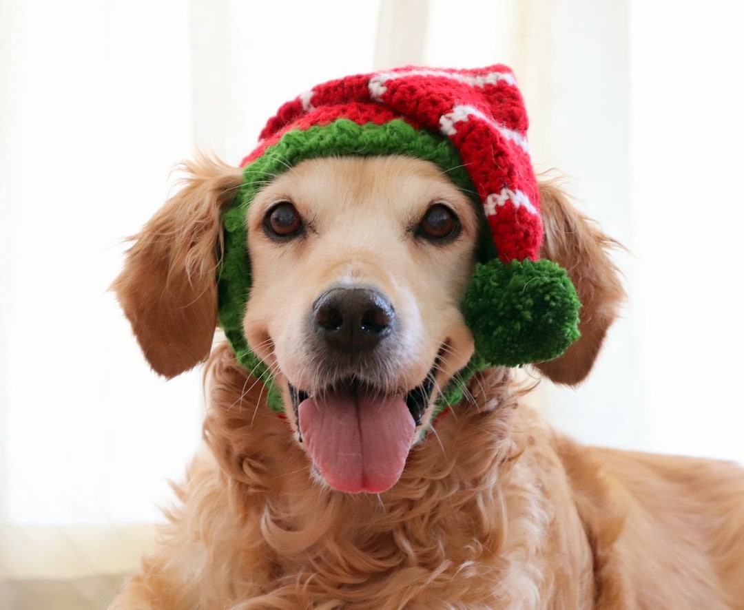 Elf Hat for Dogs, Dog Elf Hat, Holiday Dog Hat, Christmas Hat for Dogs