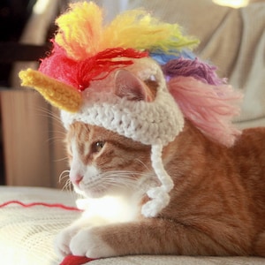May include: A ginger cat wearing a white crocheted unicorn hat with a rainbow mane. The hat has a yellow horn and pink, blue, and yellow yarn.