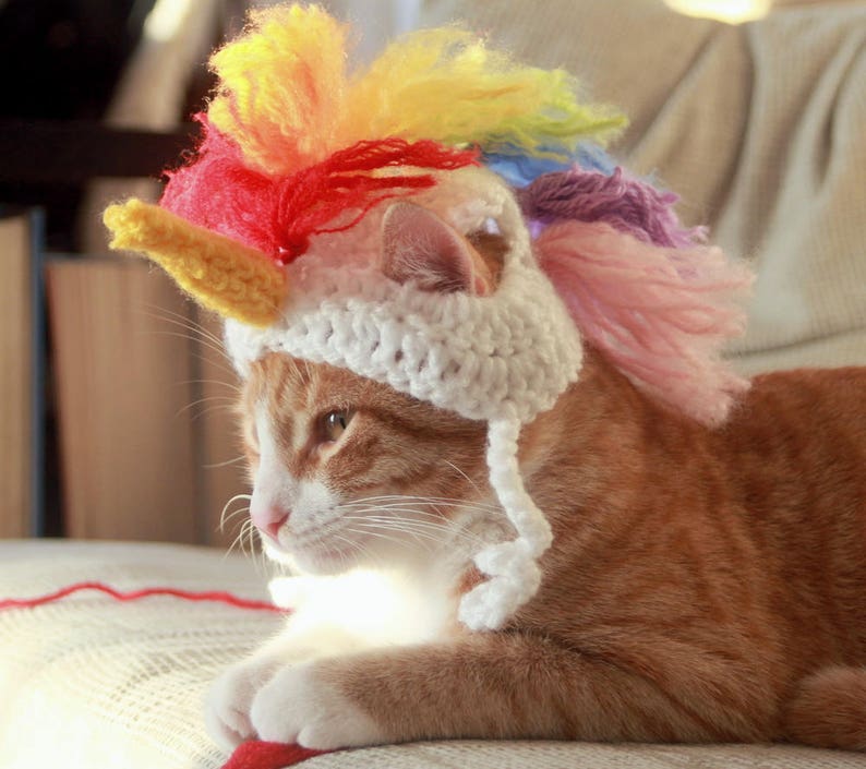 May include: A ginger cat wearing a white crocheted unicorn hat with a rainbow mane. The hat has a yellow horn and pink, blue, and yellow yarn.