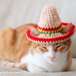 Katze Sombrero Häkelanleitung, Häkelanleitung für Haustier Größe Sombrero Hut mit Ohrlöchern, Cinco De Mayo Häkelanleitung für Haustiere Bild 4