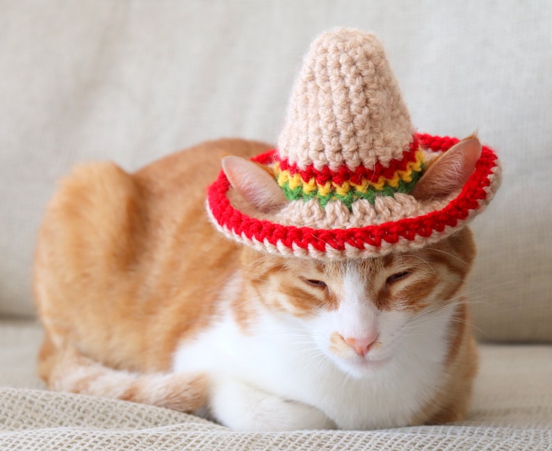 Katze Sombrero Häkelanleitung, Häkelanleitung für Haustier Größe Sombrero Hut mit Ohrlöchern, Cinco De Mayo Häkelanleitung für Haustiere Bild 4