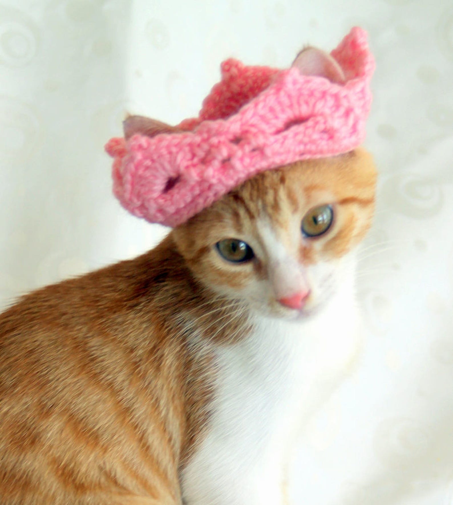 Cat Crown Tiara for Cats and Small Dogs Princess / King / Etsy