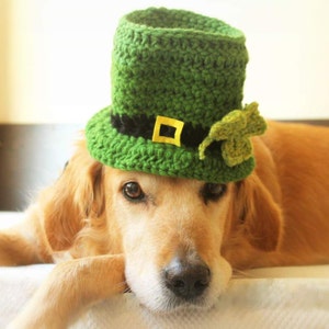 St. Patrick's Day Dog Hat, Leprechaun Hat for Dogs, Leprechaun Dog Costume, St. Patrick's Day Dog Costume, Bearded Dog Hat, image 10