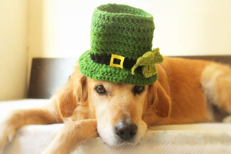 St. Patrick's Day Dog Hat, Leprechaun Hat for Dogs, Leprechaun Dog Costume, St. Patrick's Day Dog Costume, Bearded Dog Hat, image 10