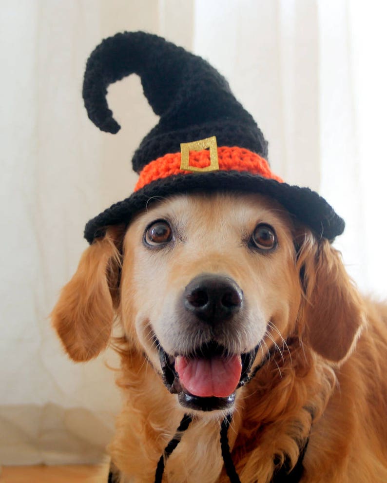 Witch Hat for Dogs, Dog Witch Hat, Halloween Hat for Dogs, Large Breed Dog Costume, Halloween Dog Hat, Witch Dog Hat image 1
